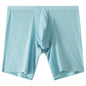 Men's Mesh Underwear Transparent Lengthened Boxers