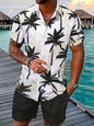 Fashion Men's Hawaii 3D Printed Short Sleeve Suit