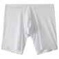 Men's Mesh Underwear Transparent Lengthened Boxers